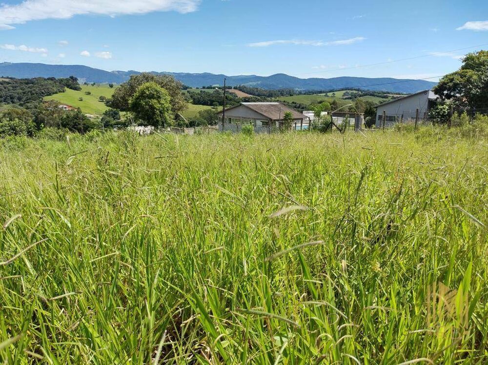 Terreno, 6000 m² - Foto 1