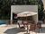 Apartamento, 2 quartos, 44 m² - Foto 13