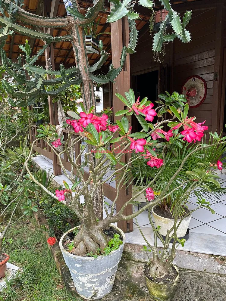 Casa, 3 quartos, 160 m² - Foto 13