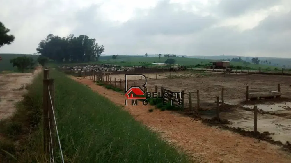 Fazenda, 883 hectares - Foto 3