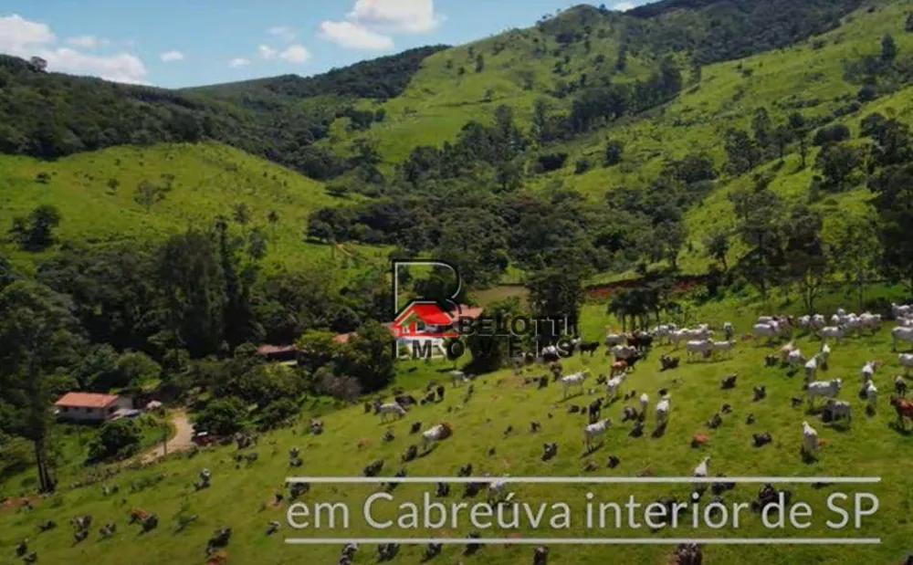 Fazenda, 324 hectares - Foto 4