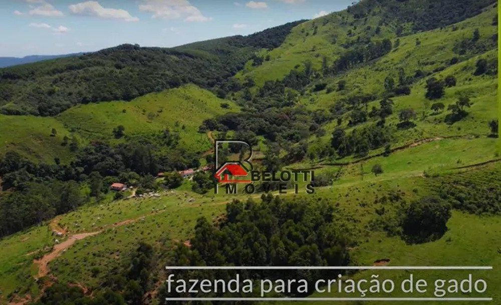 Fazenda, 324 hectares - Foto 3