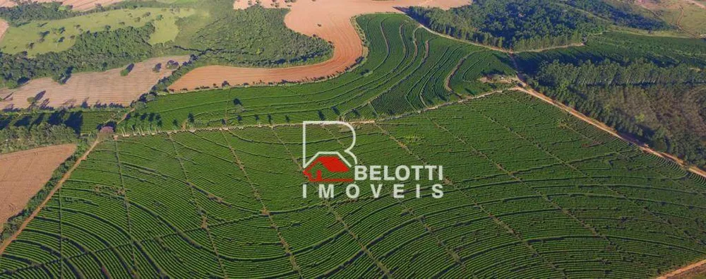 Fazenda, 24442 hectares - Foto 1