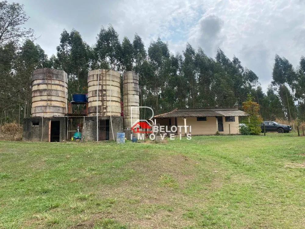 Fazenda, 90 hectares - Foto 4