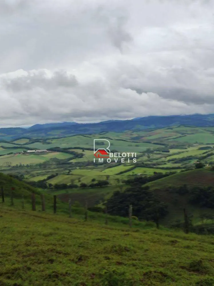 Fazenda, 370 hectares - Foto 3