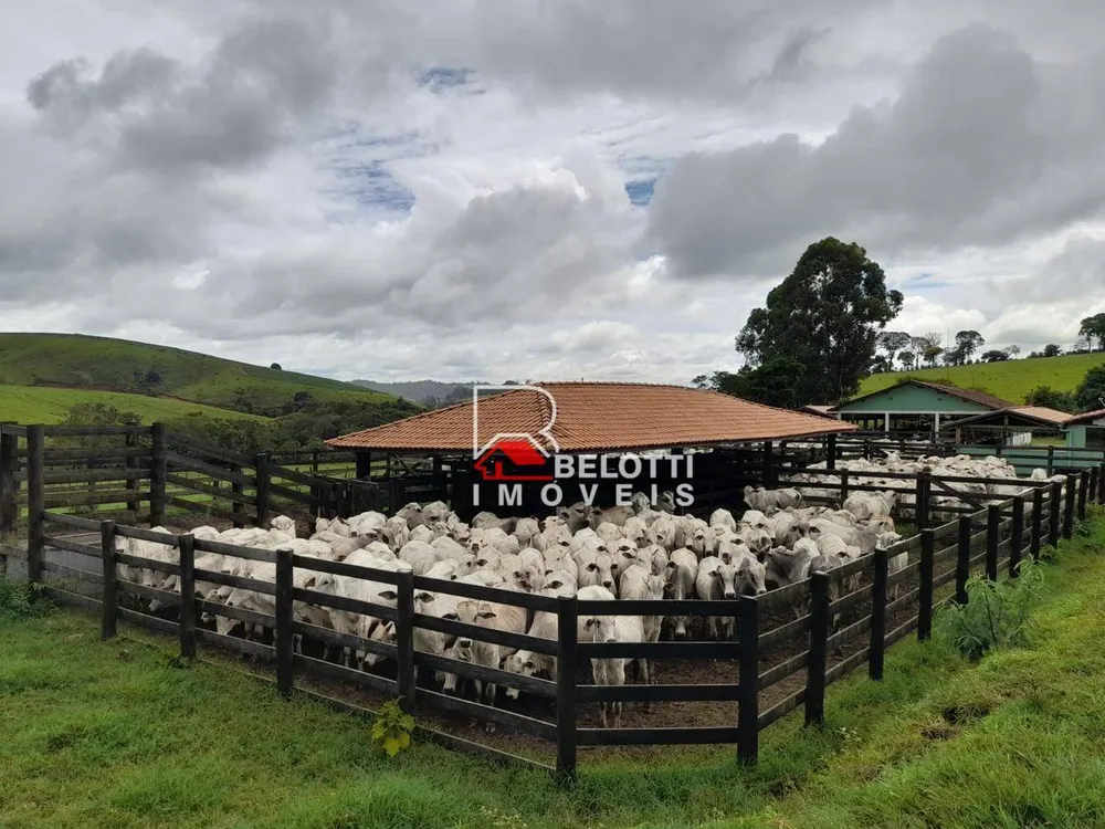 Fazenda, 370 hectares - Foto 4