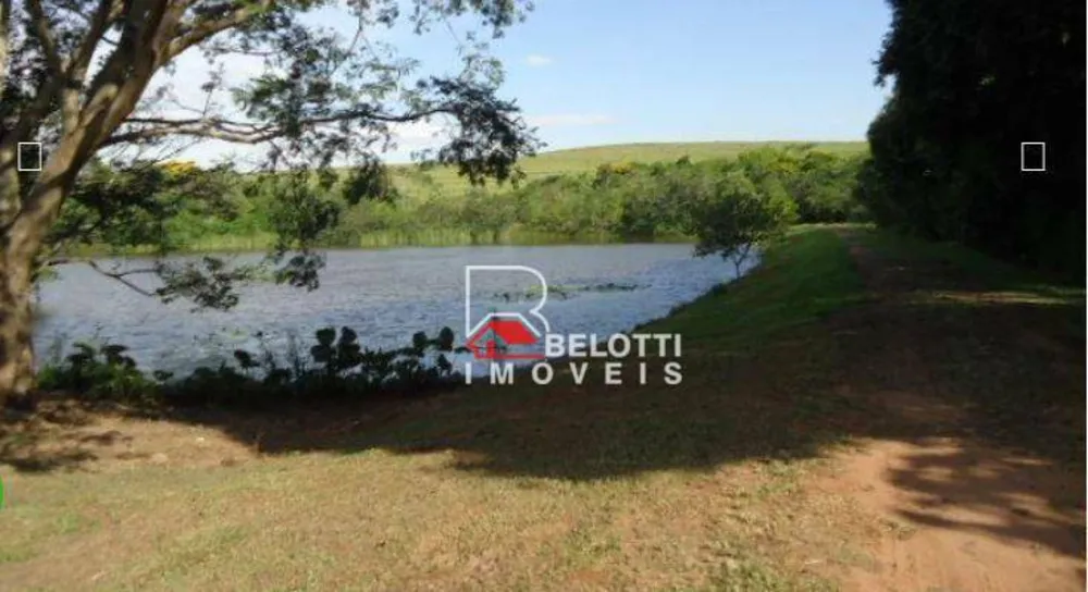 Fazenda, 230 hectares - Foto 4