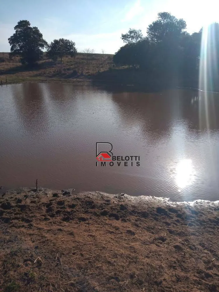 Fazenda, 668 hectares - Foto 4