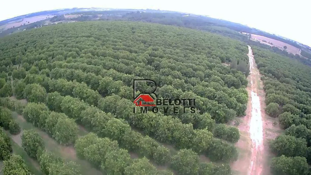 Fazenda, 663 hectares - Foto 4