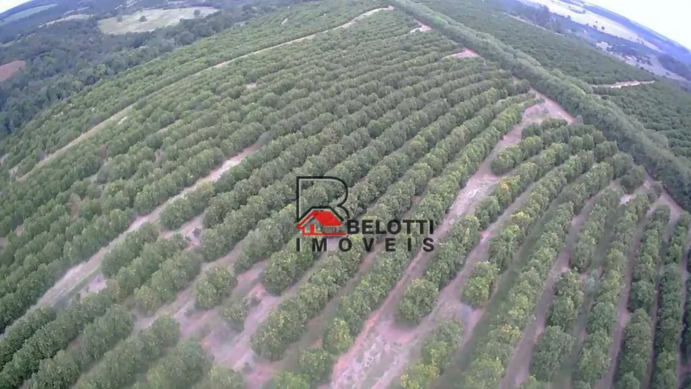 Fazenda, 663 hectares - Foto 3