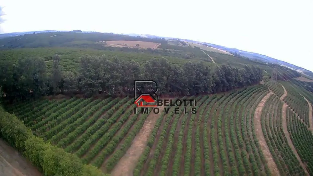 Fazenda, 663 hectares - Foto 1