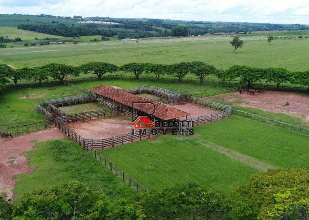 Fazenda, 303 hectares - Foto 4