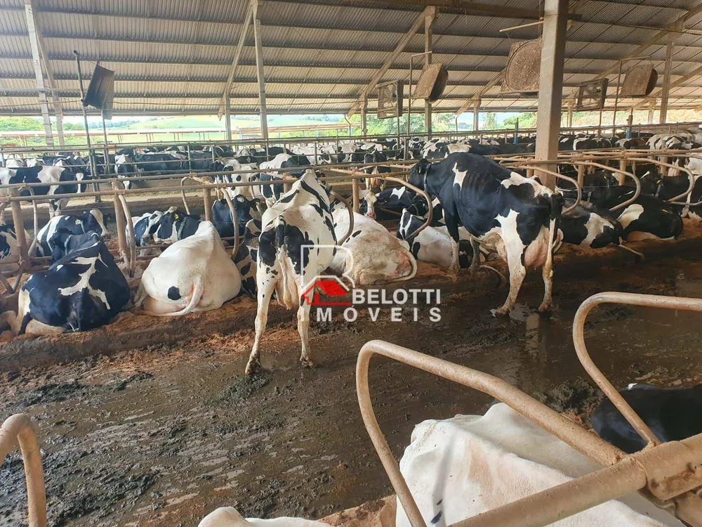 Fazenda, 532 hectares - Foto 4