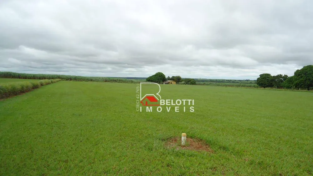 Fazenda, 3533 hectares - Foto 4