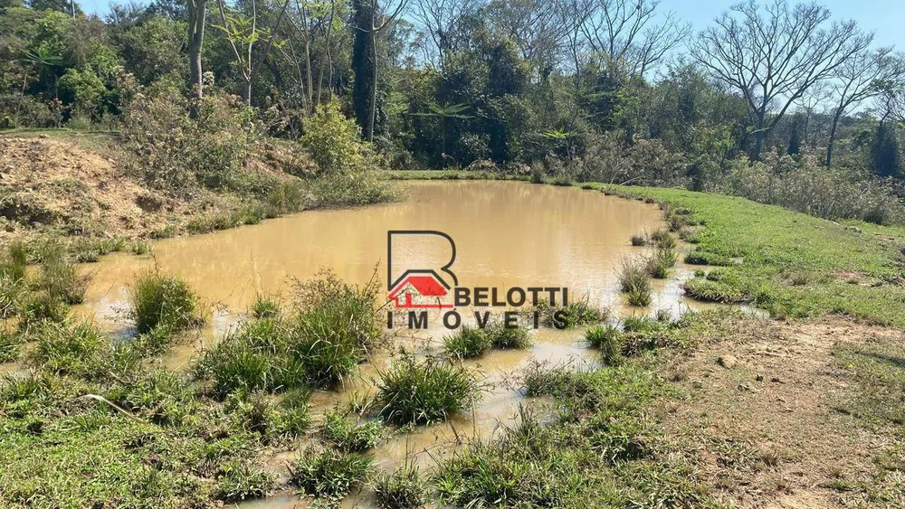 Sítio, 22 hectares - Foto 3