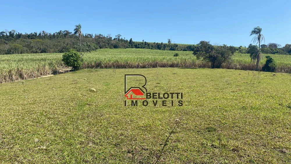 Sítio, 22 hectares - Foto 4