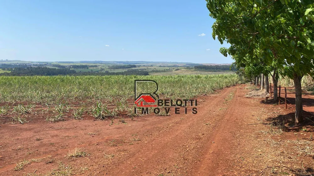 Sítio, 22 hectares - Foto 1