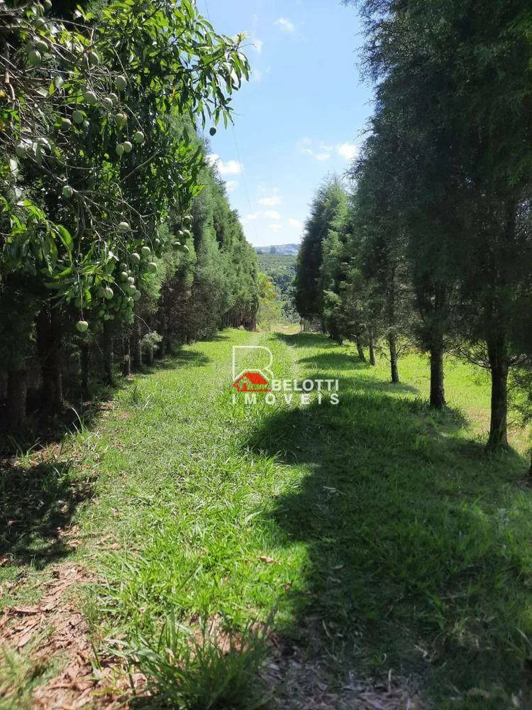 Sítio, 3 quartos, 5 hectares - Foto 4