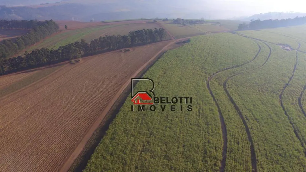 Fazenda, 203 hectares - Foto 4