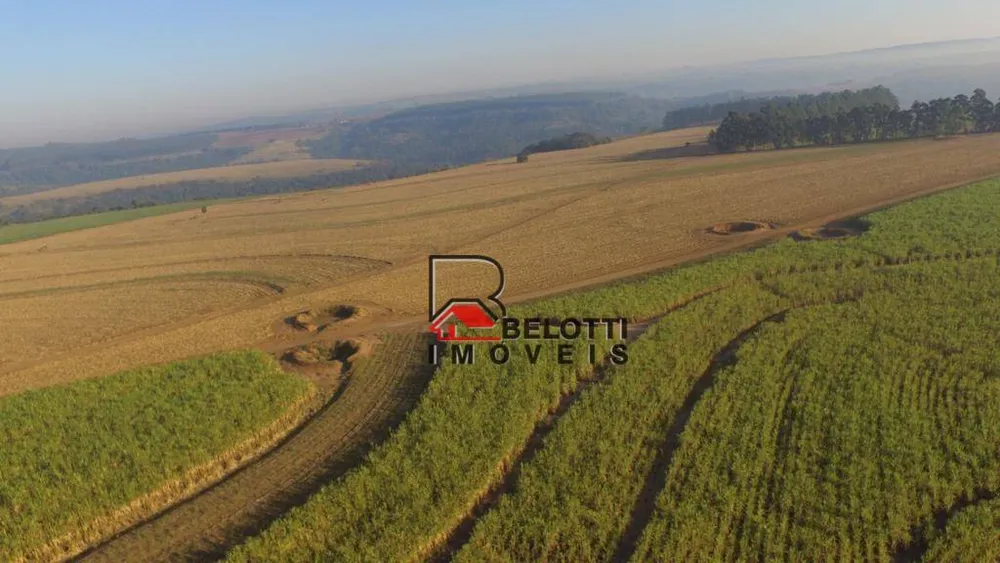 Fazenda, 203 hectares - Foto 2
