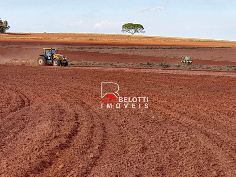 Fazenda, 1350 hectares - Foto 4