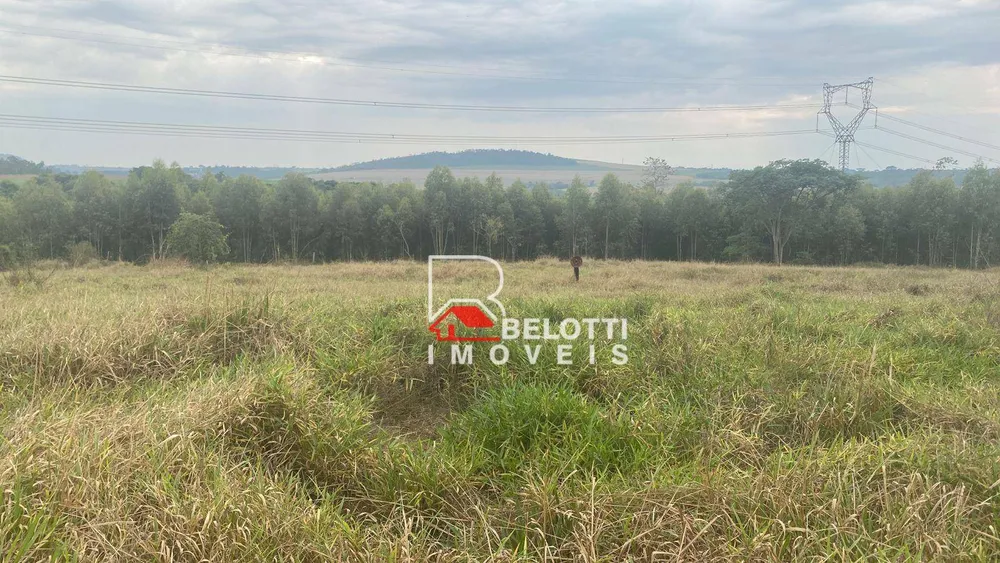 Sítio, 22 hectares - Foto 4