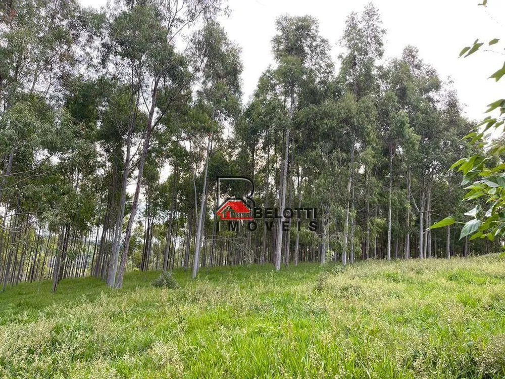 Fazenda, 160 hectares - Foto 2