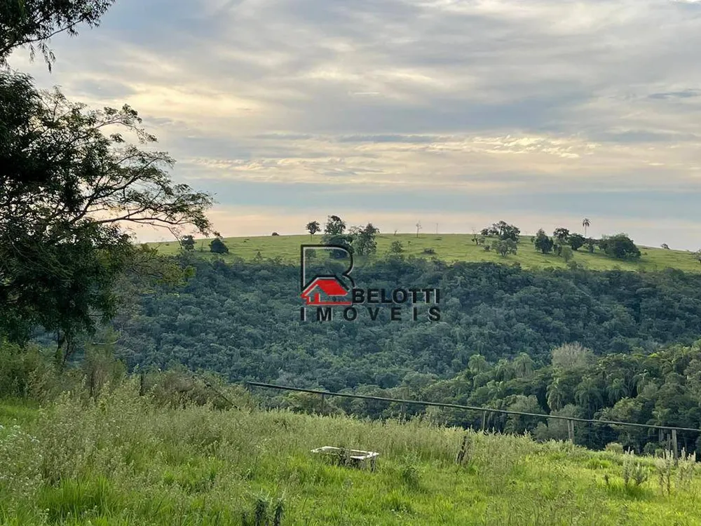 Fazenda, 160 hectares - Foto 4