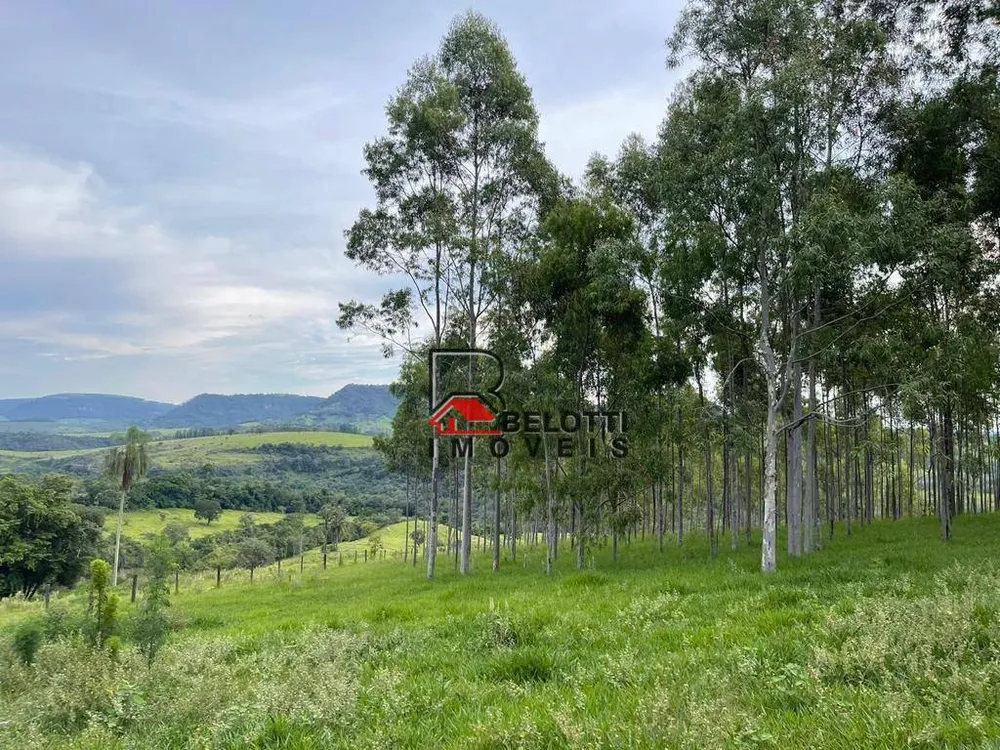 Fazenda, 160 hectares - Foto 3