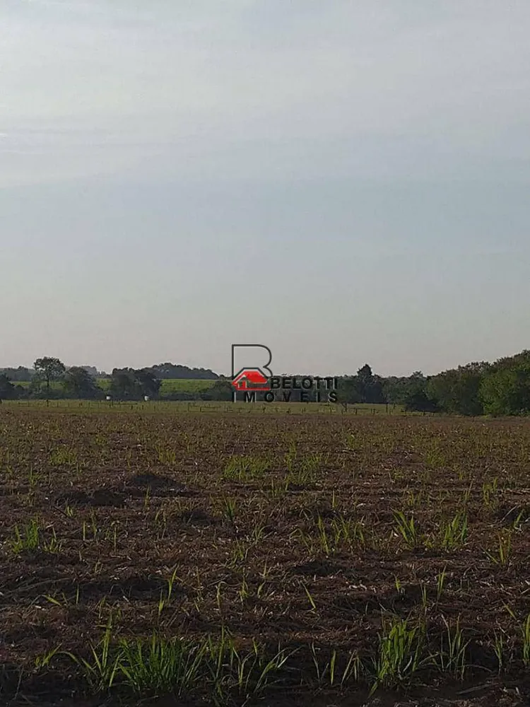 Fazenda, 929 hectares - Foto 4
