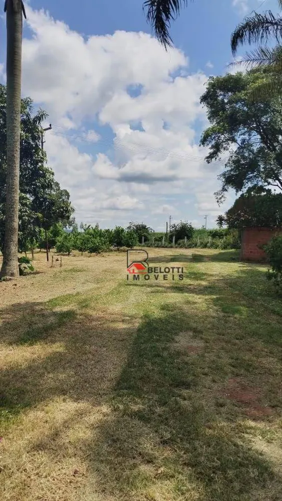 Sítio, 24 hectares - Foto 3