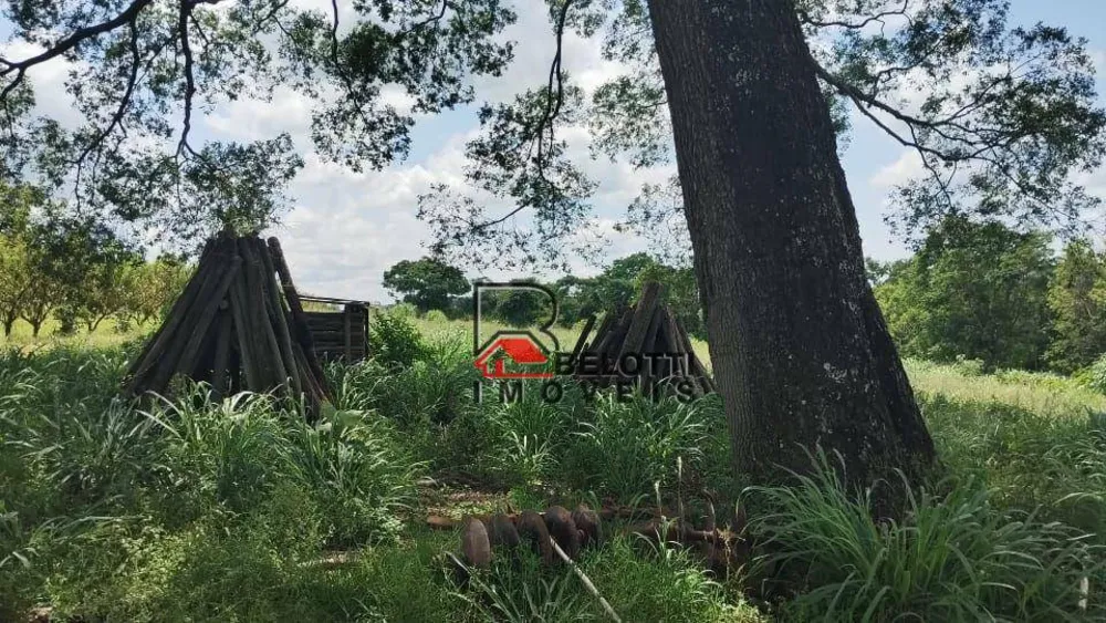 Sítio, 24 hectares - Foto 4