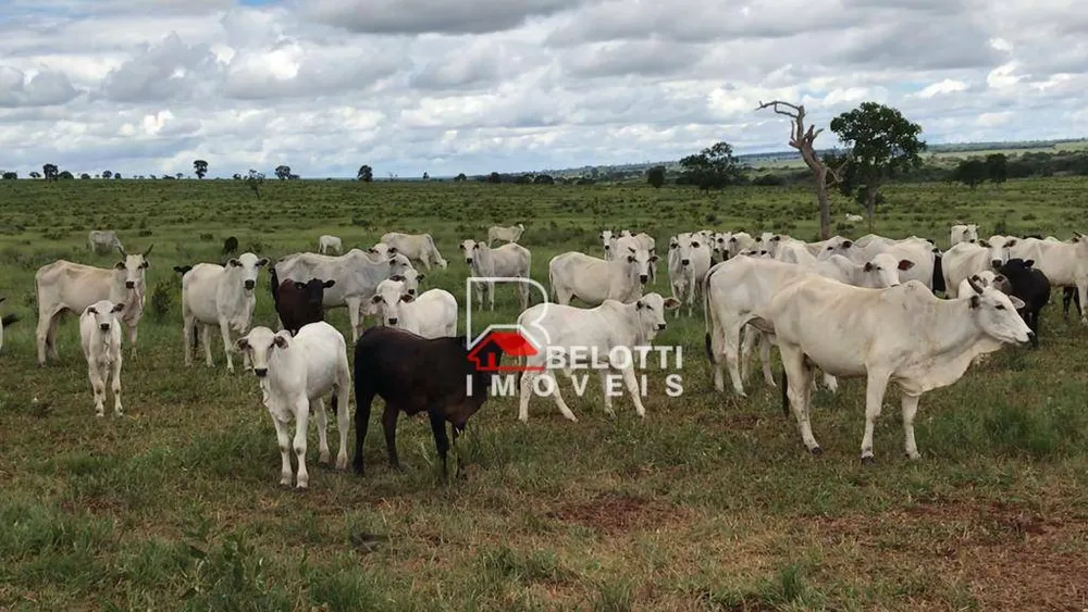 Fazenda, 2199 hectares - Foto 1