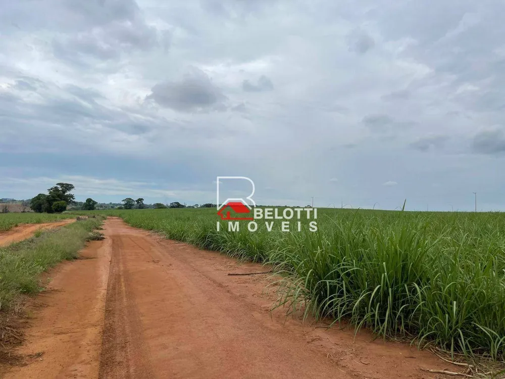 Fazenda, 520 hectares - Foto 3
