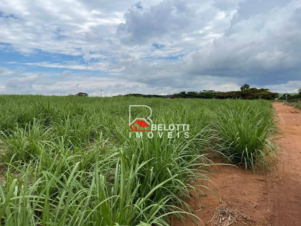 Fazenda, 520 hectares - Foto 4