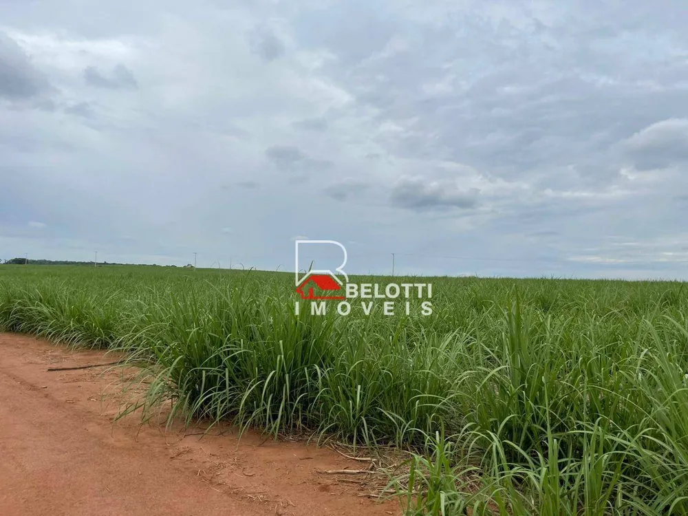 Fazenda, 520 hectares - Foto 1