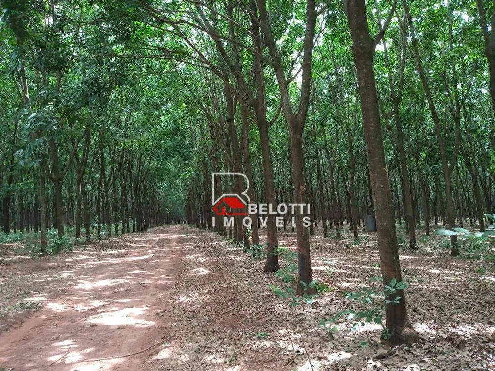 Fazenda, 484 hectares - Foto 2