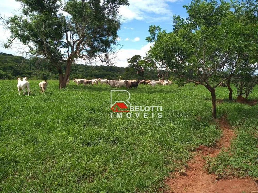 Fazenda, 484 hectares - Foto 3