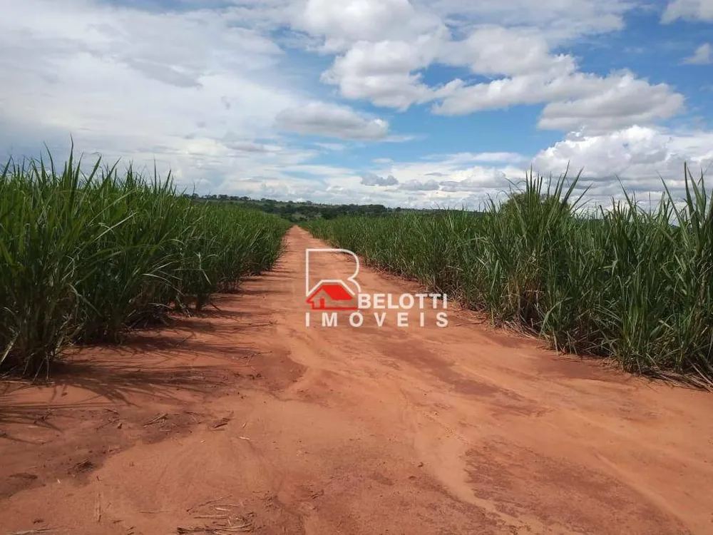 Fazenda, 484 hectares - Foto 1