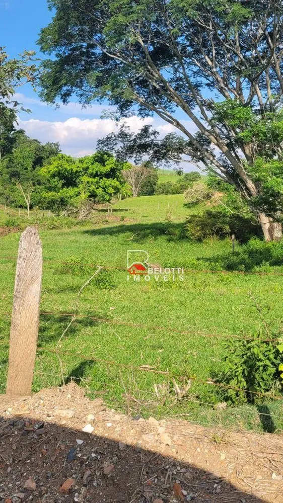Fazenda, 61 hectares - Foto 3