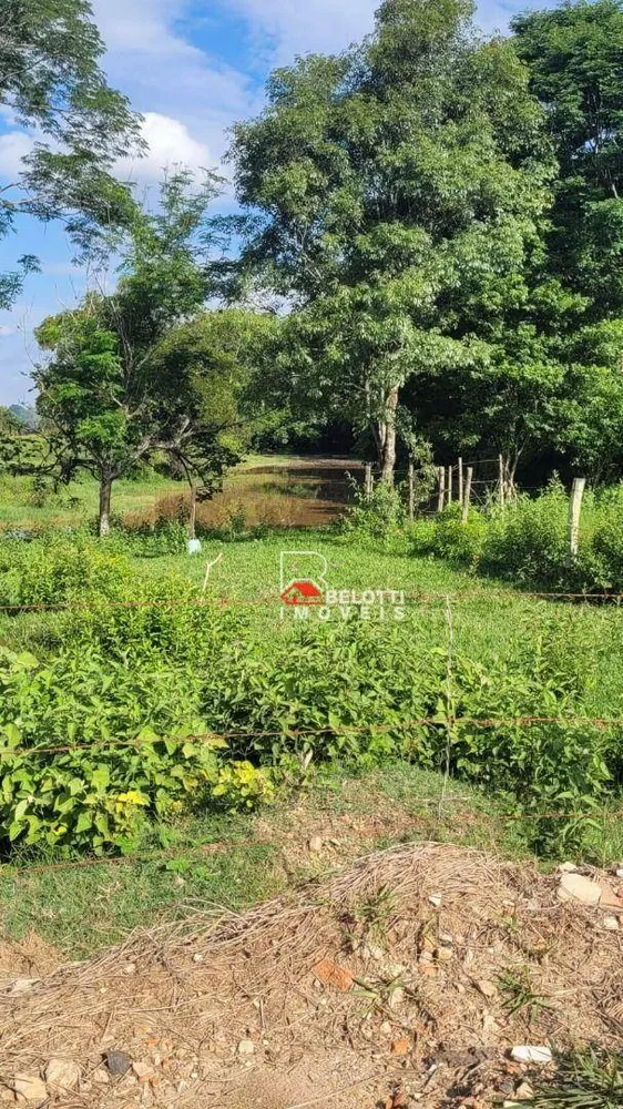 Fazenda, 61 hectares - Foto 4