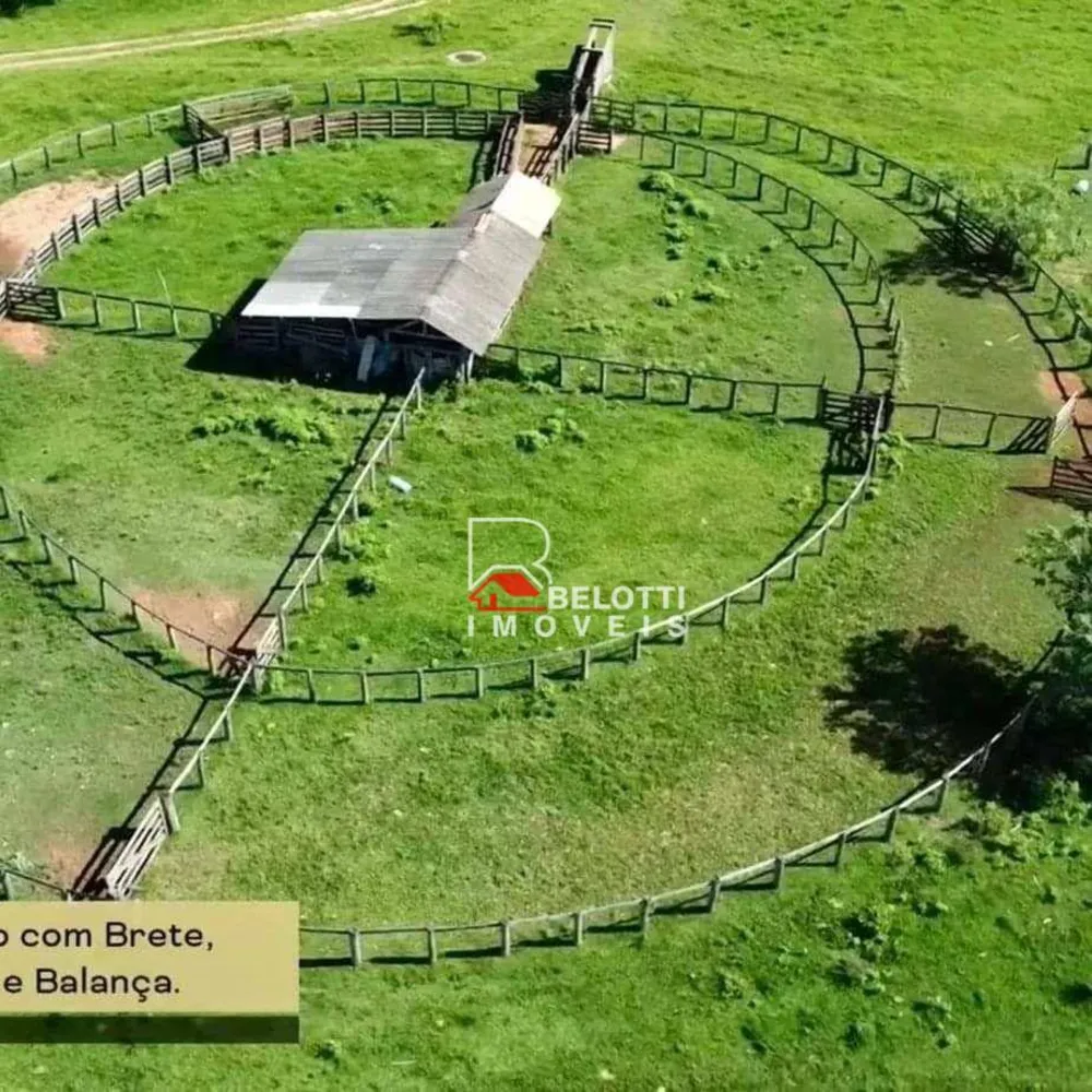 Fazenda, 479 hectares - Foto 3