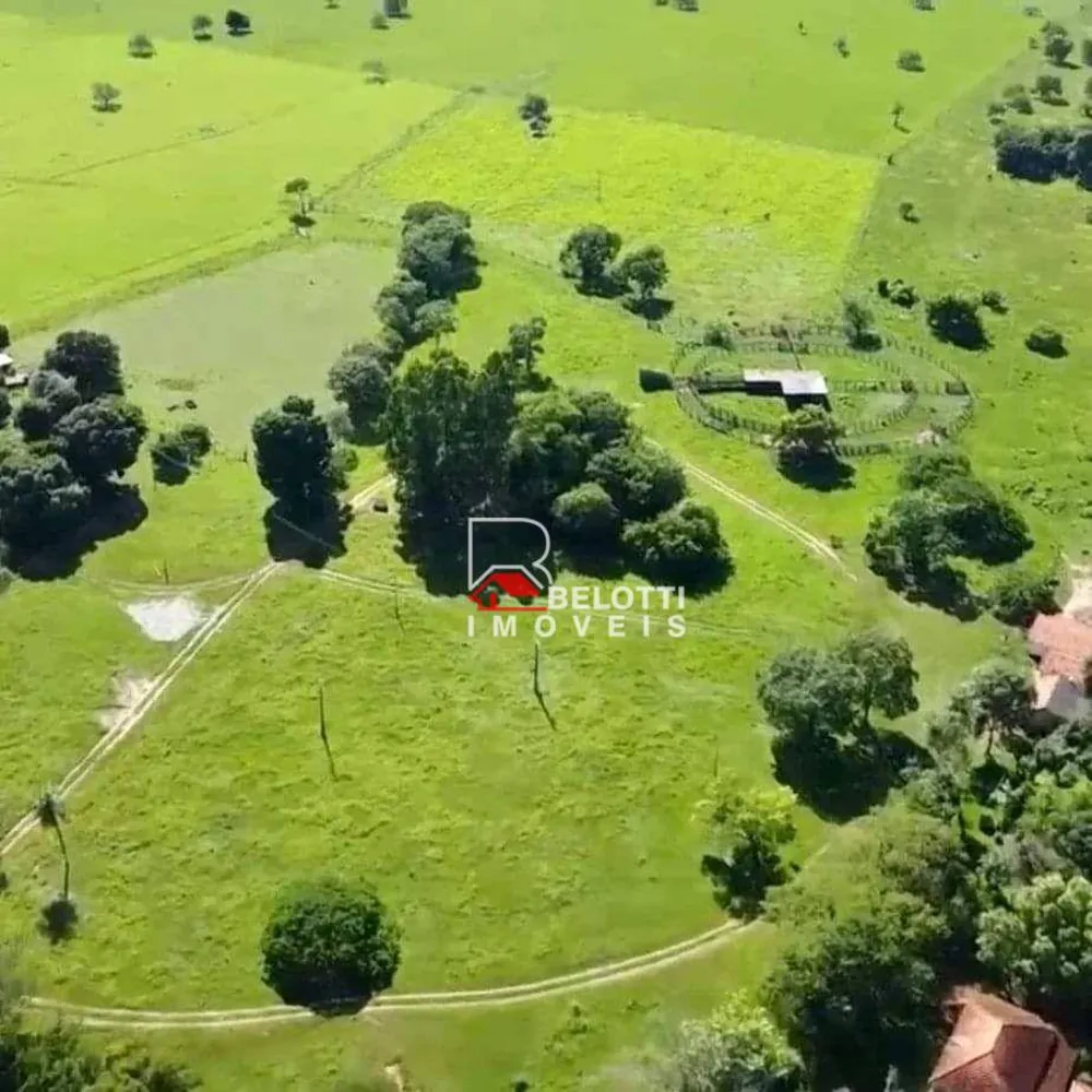 Fazenda, 479 hectares - Foto 2