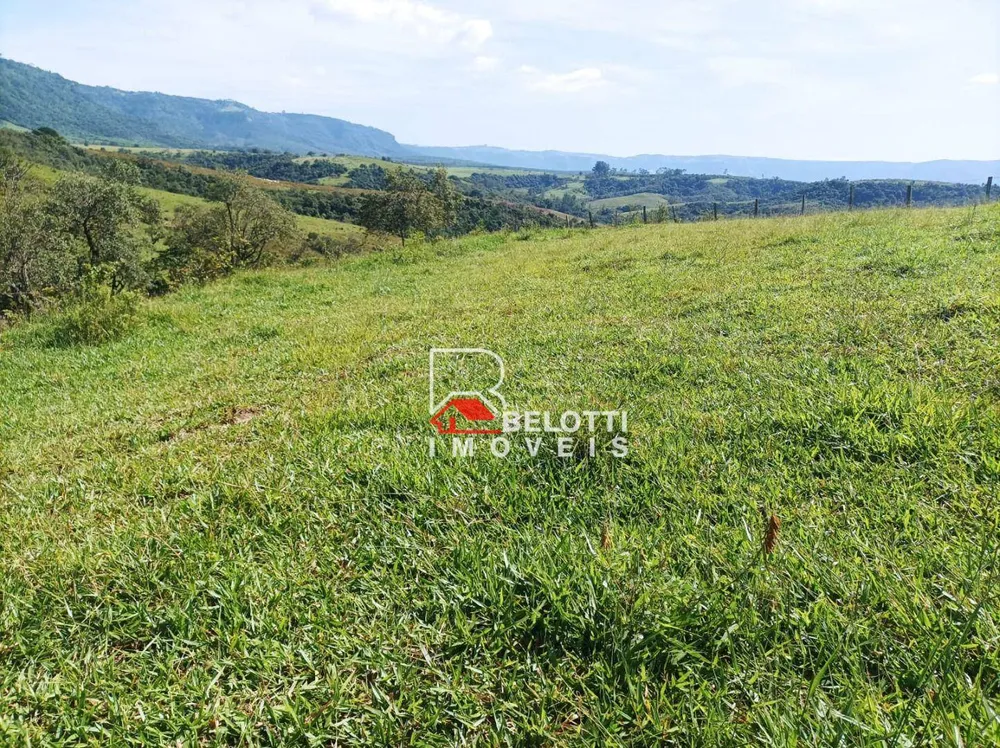 Sítio, 93 hectares - Foto 3