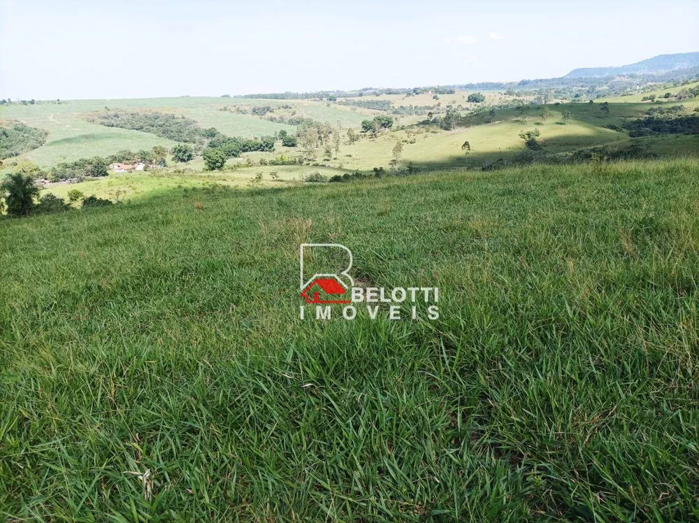 Sítio, 93 hectares - Foto 4