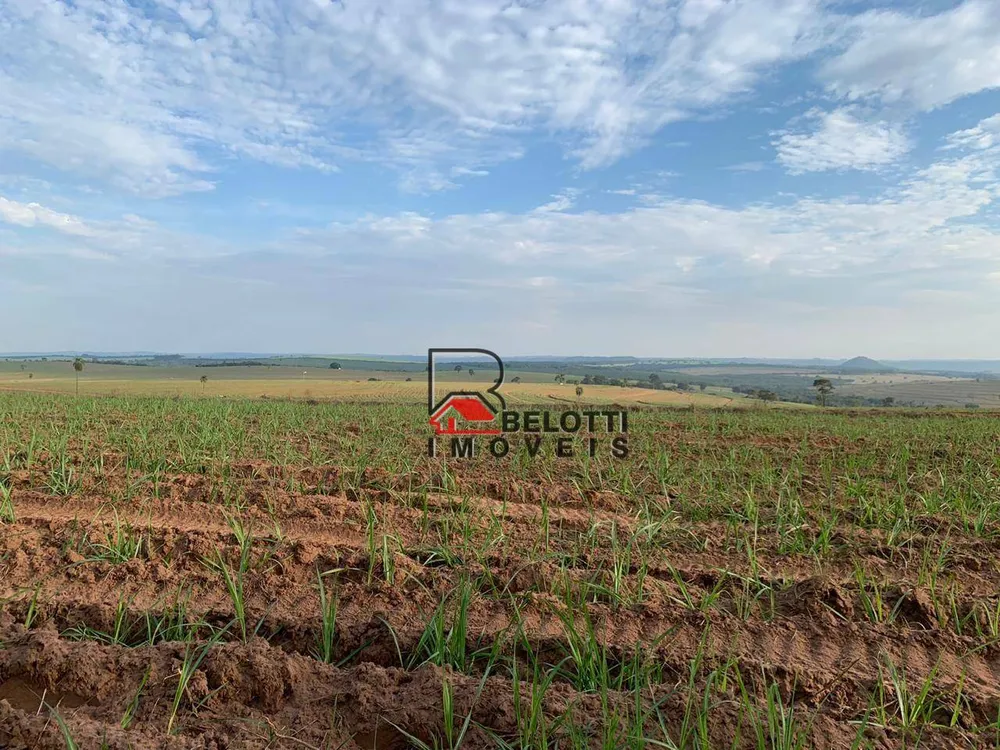 Fazenda, 456 hectares - Foto 2