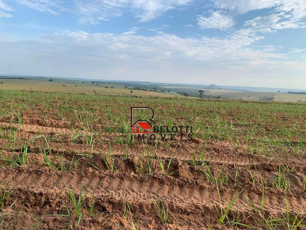 Fazenda, 456 hectares - Foto 3