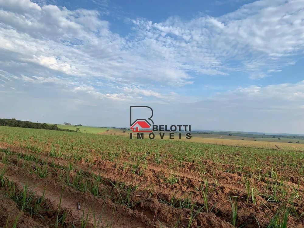Fazenda, 456 hectares - Foto 1