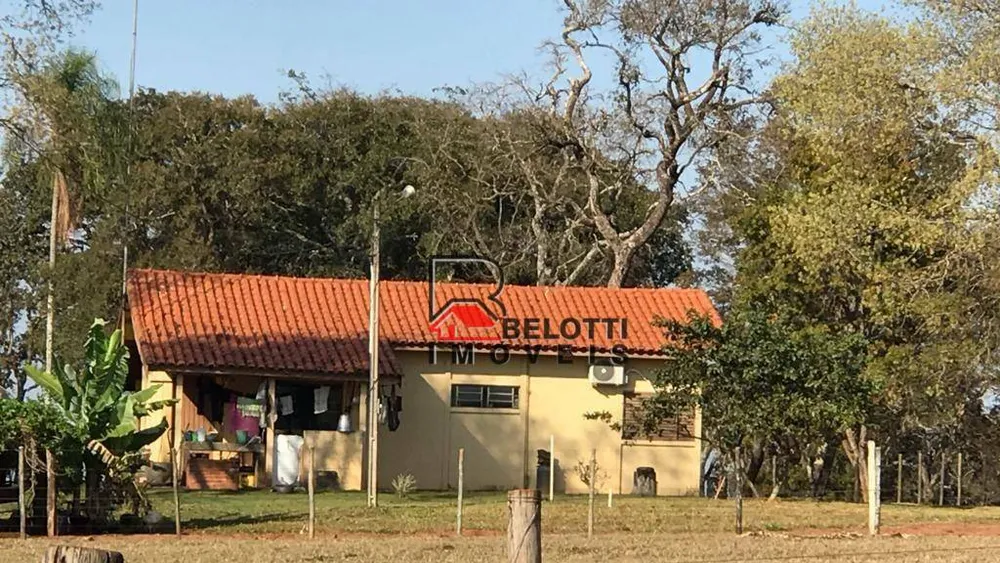 Fazenda, 2197 hectares - Foto 3