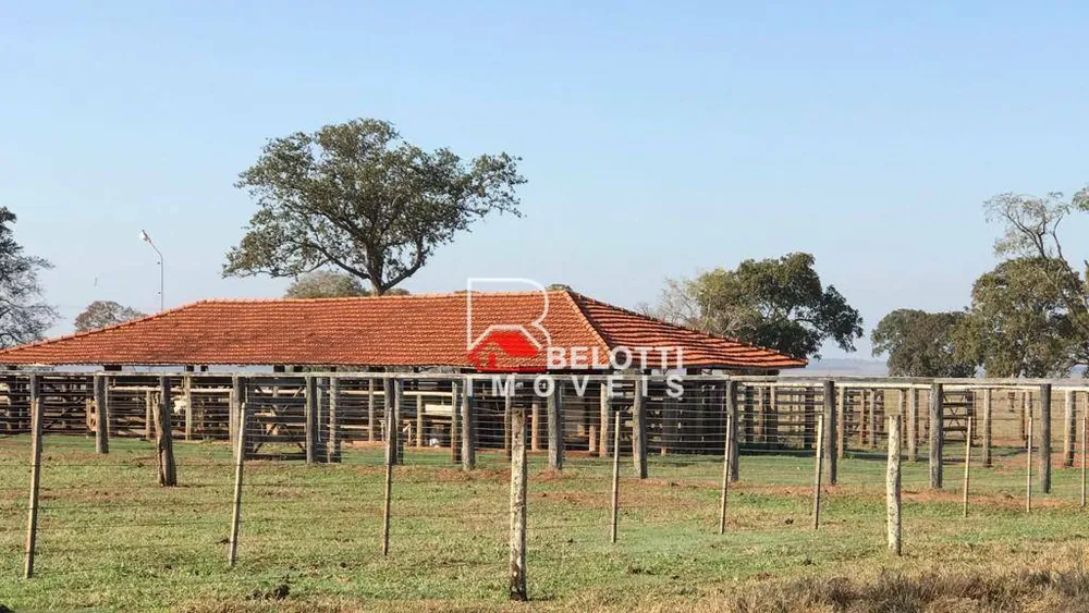 Fazenda, 2674 hectares - Foto 3